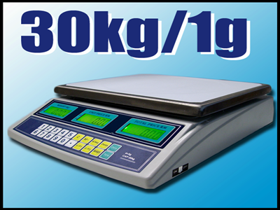 Namizna tehtnica 30kg / 1g (G&G Nemčija)