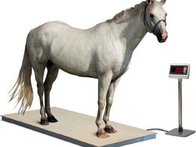 Tehtnica za konje